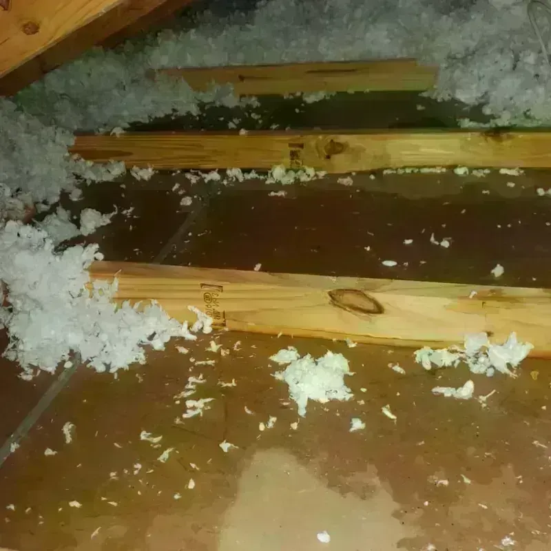 Attic Water Damage in Panora, IA